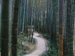 -南山风景名胜区
