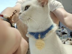 -怪兽屋·羊驼·猫咖·狗咖(俊华广场店)