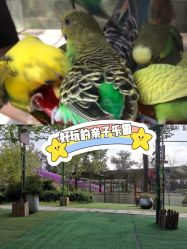 -萌宠亲子动物乐园(槐房万达店)