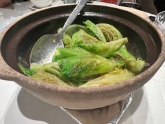 啫啫生菜煲-陶陶居酒家(美院店)