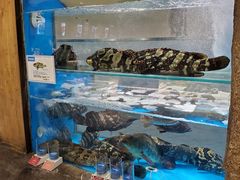 -郑庄脂渣海鲜楼(九水路店)