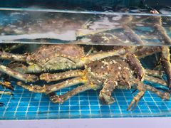 -本达人海鲜烧烤·朝鲜族风味(发展店)