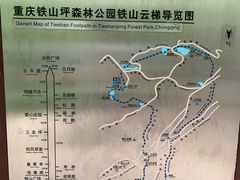 -铁山坪森林公园