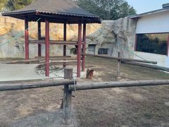 -杭州野生动物世界