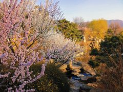 -北京西山国家森林公园