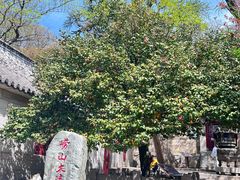 -青岛崂山太清宫