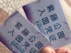 -嘉定紫藤园