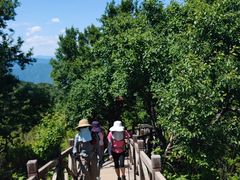 -阳台山自然风景区