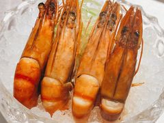 -荷唐·殿 Home Town Palace