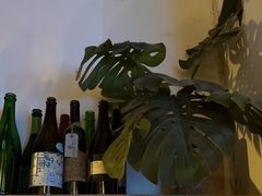 -Carpe Diem精酿空间