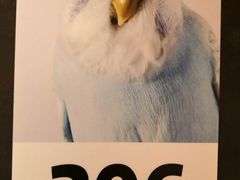 -鹦鹉小厨味道餐厅(山大南路店)