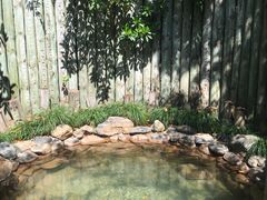 -张家港金凤凰度假村温泉