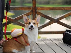 -桤木河湿地公园