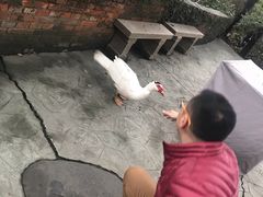-得丘礼享谷·玉兰苑