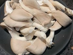 平菇-渝宗老灶火锅(巴国城店)