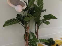 大堂-五进制 Coffee Shop