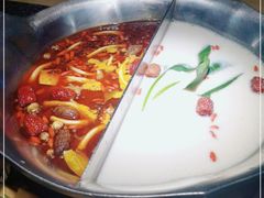 -湊湊火锅·茶憩(郑州绿地新都会店)