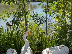 -龙熙维景国际会议中心