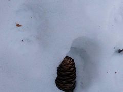 -丝绸之路山地度假区滑雪场