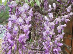 -黄花城水长城旅游区