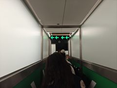 -谢列梅捷沃国际机场