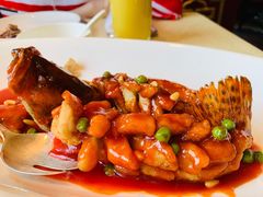 松子桂鱼-和平饭店·龙凤厅 Dragon Phoenix
