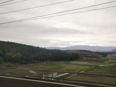 -维也纳酒店(深圳大学城店)