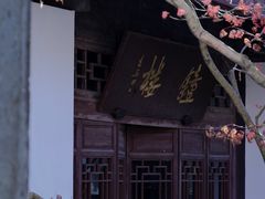 -虎跑公园