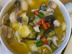 -七食九号食堂(东丽空港店)