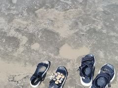 -启东黄金海滩景区
