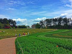 -保利石象湖景区