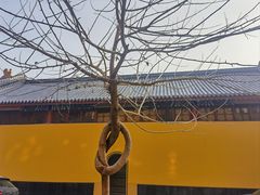 -宝通禅寺