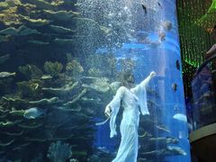 -泉城欧乐堡海洋极地世界