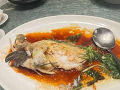 -金悦轩海鲜城(渔人码头店)