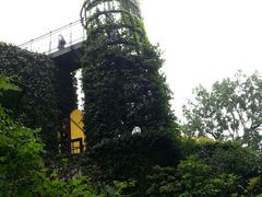 android_upload_pic-三鹰之森吉卜力美术馆