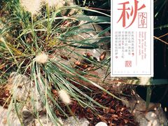 -云龙山
