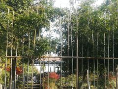 -三江森林温泉度假区