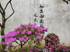 -拙政园