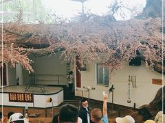 -南戴河国际娱乐中心