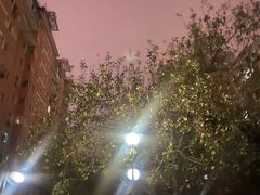-山楂树融合菜餐厅