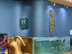 -黄晓猫剁椒大鱼头(海岸城店)