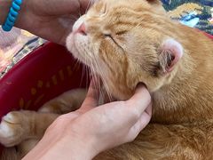 -平行世界·猫咖(首经贸店)