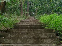 -广州市帽峰山景区