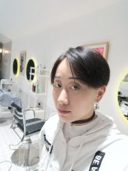 -大象造型