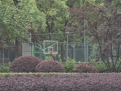 -龙头寺公园