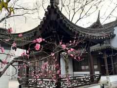 -秋霞圃