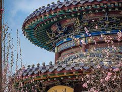 -迎泽公园