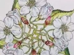 -杨梅红艺术教育(北京金源购物中心校区)