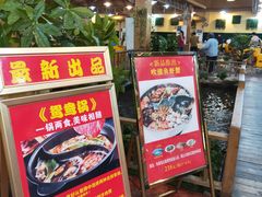 -一煲鸽