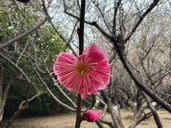 -白塘生态植物园